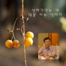 세무법인해청 이미지