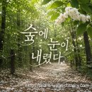 땅공원 | 우장산 근린공원 쪽동백군락지 산책 후기