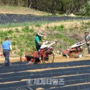 단양군 농기계임대사업소 북부지소 | [세계타임즈] [세계로컬핫뉴스] 단양군 농기계서비스, 농가 효자노릇 ‘톡톡’