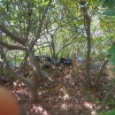 해맞이 민박 이미지