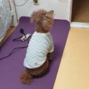 호매실원정형외과의원 네이버블로그