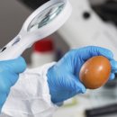 연제구-190 이미지