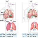 새로나병원 이미지