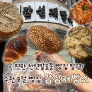 수원주민 빵순이가 인정하는 탑동 감성제빵소에서 인생 소금빵이랑 통밀빵 만난 후기
