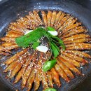 선광집 이미지