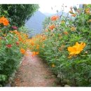 오대산펜션 이미지