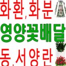 일월 치안센터 이미지