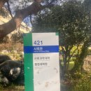 부산대학교 행정대학원 이미지