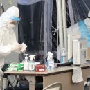 이천제일고등학교 이미지