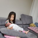 육일농원 이미지