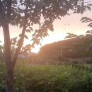 길매식당 이미지