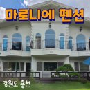 마로니에펜션 | 강원 홍천 마로니에 펜션 2박3일 가족여행 비발디파크 근처 숙소