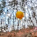 고사리마을회관 이미지