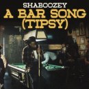 ELF No. 38855 | A Bar Song - Shaboozey 이미지