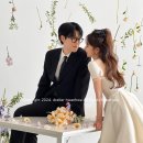 레인플라워 이미지