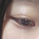 855 | 디올쇼 5 꿀뢰르 까나쥬 리미티드 에디션 855 🌹로즈 무아레🌹 막차 탑승 후기