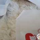 온날온
