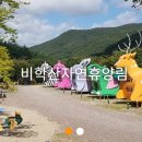 휴양림주유소 이미지
