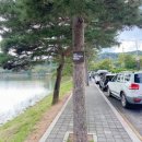 용추힐링랜드 | "제천의림지"오리배주의사항 (아이랑가기좋은이유+꿀팁+주차+사진추천명소팁+BEST코스추천+의림지파크)