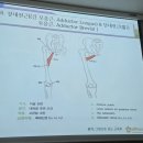 O다리와 X다리, 무릎만의 문제가 아니었습니다! 바른체형마스터 교육 후기