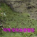 토봉 이미지