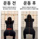 해피데이지