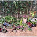 천안모두펜션 이미지