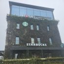 50대 아줌마들과 다낭자유여행 바나힐호이안원데이투어 공항샌딩