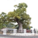 소답동131 이미지