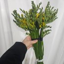 수기지하차도