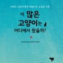 R(알) 이미지