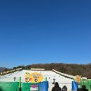 마이태권도장 | 과천 서울랜드 눈썰매장 주말 오픈런 후기 종일권 할인쿠폰