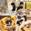 아이터치 - 미추홀구 | 비오는날 도쿄 아이랑 갈곳, 도쿄돔 동물원 애니터치 6세 아이 현실 후기