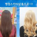 오묘한살롱 이미지