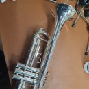 서울마포초등학교 이미지