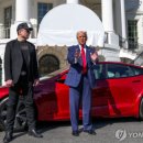 엄정식 이미지