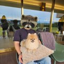 댕그라운드 이미지