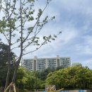 허경축사 | 양천구소식 :: 파리공원 개장식, 목동파리공원, 음악분수, 파리공원 리노베이션