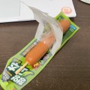 알쏭달쏭해 | 9월 사진 꺼내보기 🗂️