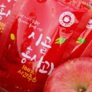 시골홍사과