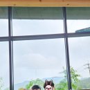 다불촌 독채민박 이미지