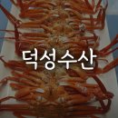 덕성수산
