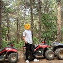 동막2농장 이미지