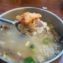 멸치국수 - 서구 탁옥로98번길 1 | 안산 초지동 맛집 애견동반 가능한 열린멸치국수 솔직후기
