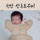 도담도담산후도우미 천안지사 이미지