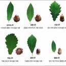 태산임업 - 평창군 | 태산임업