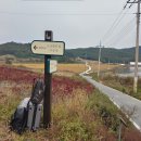 한국의 '섬티아고', 홀로 조용히 걷는 순례길 이미지