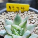 푸르농장 이미지