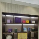 다이트한의원 이미지