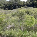 충주 행복한 농장 이미지